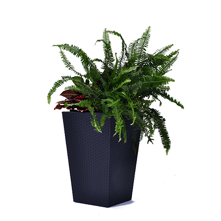 Ghiveci Keter Rattan Planter M, plastic, gri antracit, 38,5 x 38,5 x 57 cm